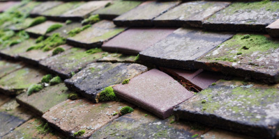 Orsett roof repair costs